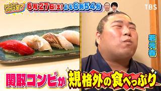 いくらかわかる金？小田原の人気飲み屋街で関太＆関取が絶品居酒屋グルメを爆食！🈑🈓