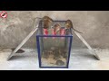 The best video I&#39;ve ever seen #2019 | Mouse Trap / Rat Trap | Top 10 elektrische Mausefalle