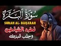 سورة البقرة القارئ حسين عبد الظاهرحفظ وتحصين من الشيطان Surah Al Baqarah By Husien Abd Al Zahir سورة البقرة القارئ حسين عبد الظاهرحفظ وتحصين من الشيطان Surah Al Baqarah By Husien Abd Al Zahir
