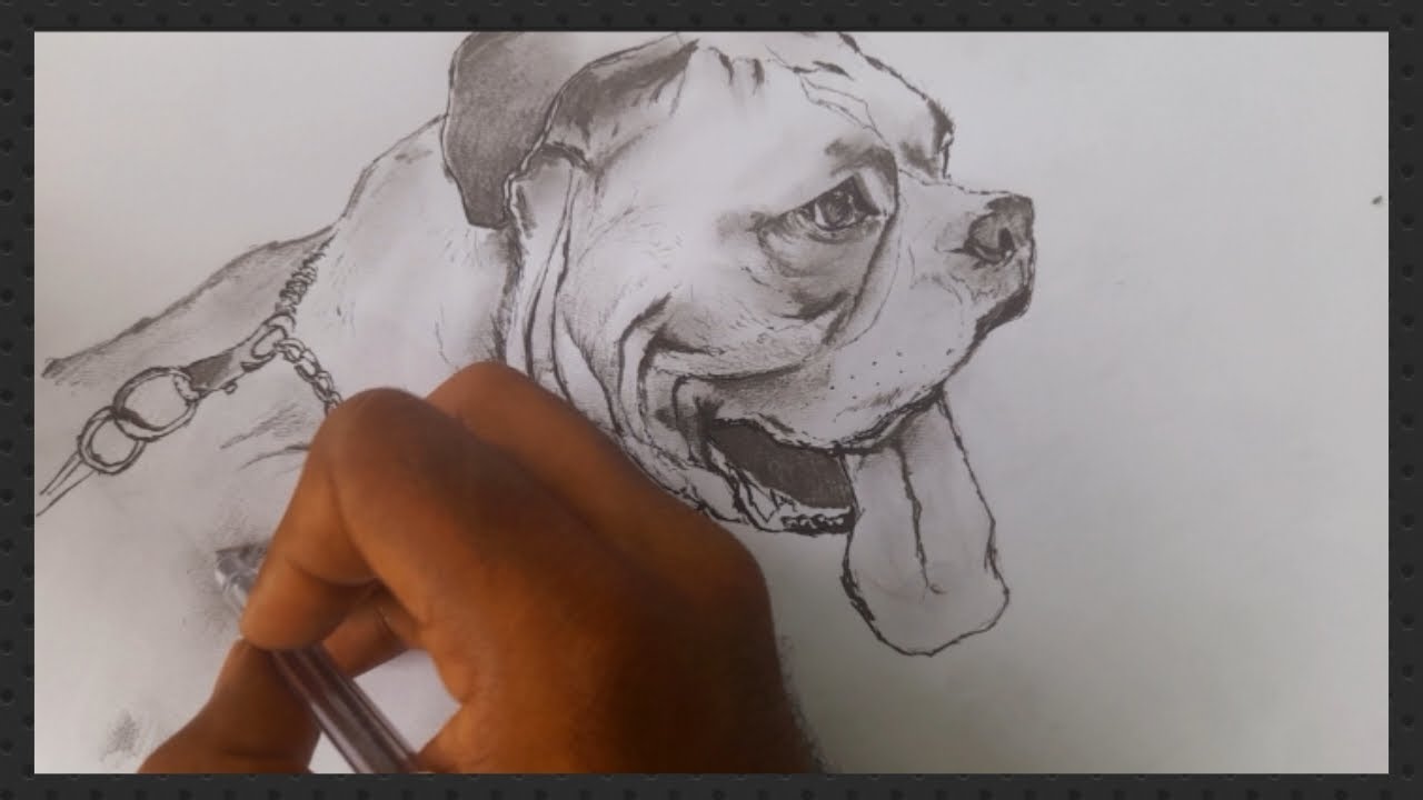 How to Draw a Boxer Dog || Tutorial for BEGINNERS | Pen Drawing - YouTube