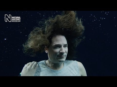 #Venom: Killer and cure - behind the scenes | Natural History Museum Instructional Video