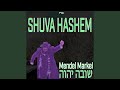 Shuva hashem