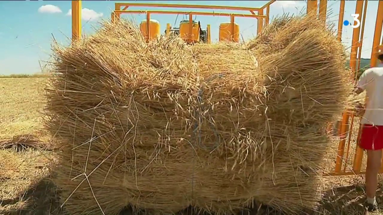 Le savoir-faire unique du dernier fabricant français de paillon