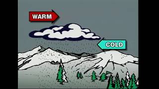 Ice Storm '98 Documentary