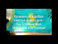 гимн Казахстана на русском языке #кошка #игры #chikengun #games #позитив #поддержка