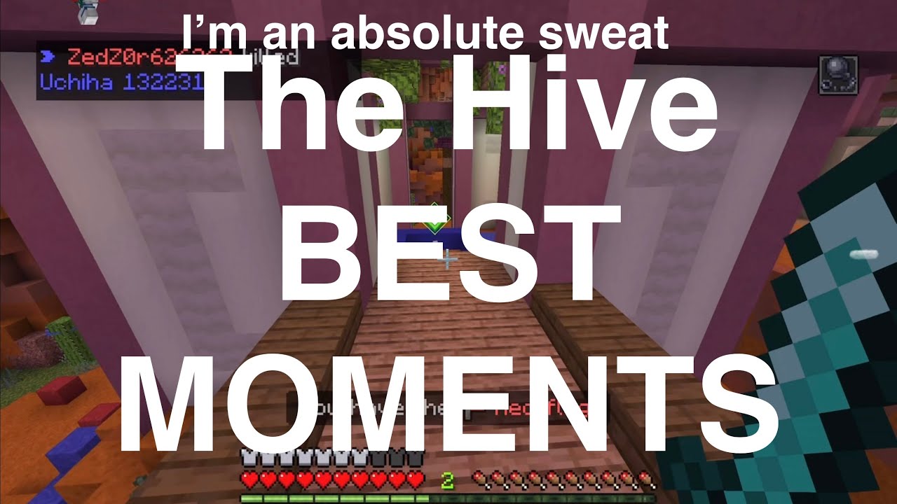 Minecraft The Hive (Best Moments)