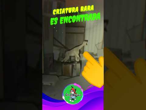 👻 Extraña criatura es grabada | Videos de Terror