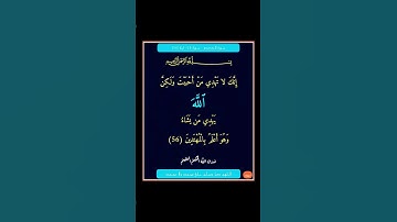 سورة القصص - سورة 28 - اية 56