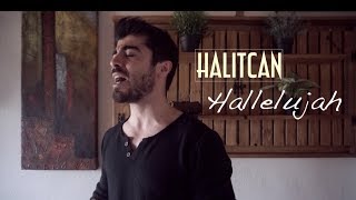 Halitcan - Hallelujah Resimi