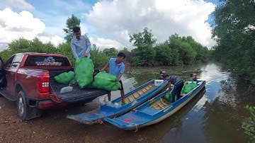 Tôm càng xanh đồng tháp toàn đực vèo 2 giai đoạn thả đầu vụ!! Tôm lanh, bự, tỷ lệ  đạt cao!!