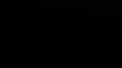 Emulating the wii menu on dolphin emulator