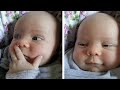 What does the baby say 👶👶Funny and Cute Babies Talking Videos Compilation