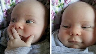 What does the baby say Funny and Cute Babies Talking Videos Compilation