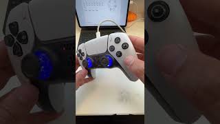 Paddles PS5 Pro Controller einstellen