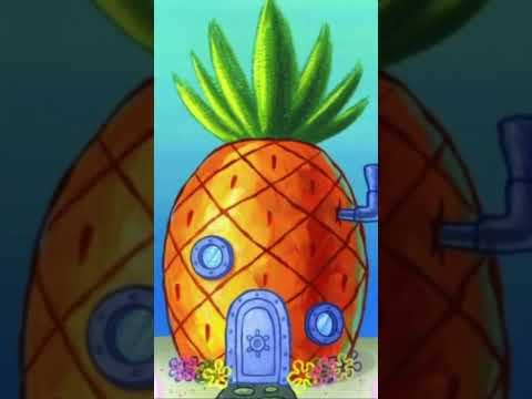 كم ييت عرفت ي