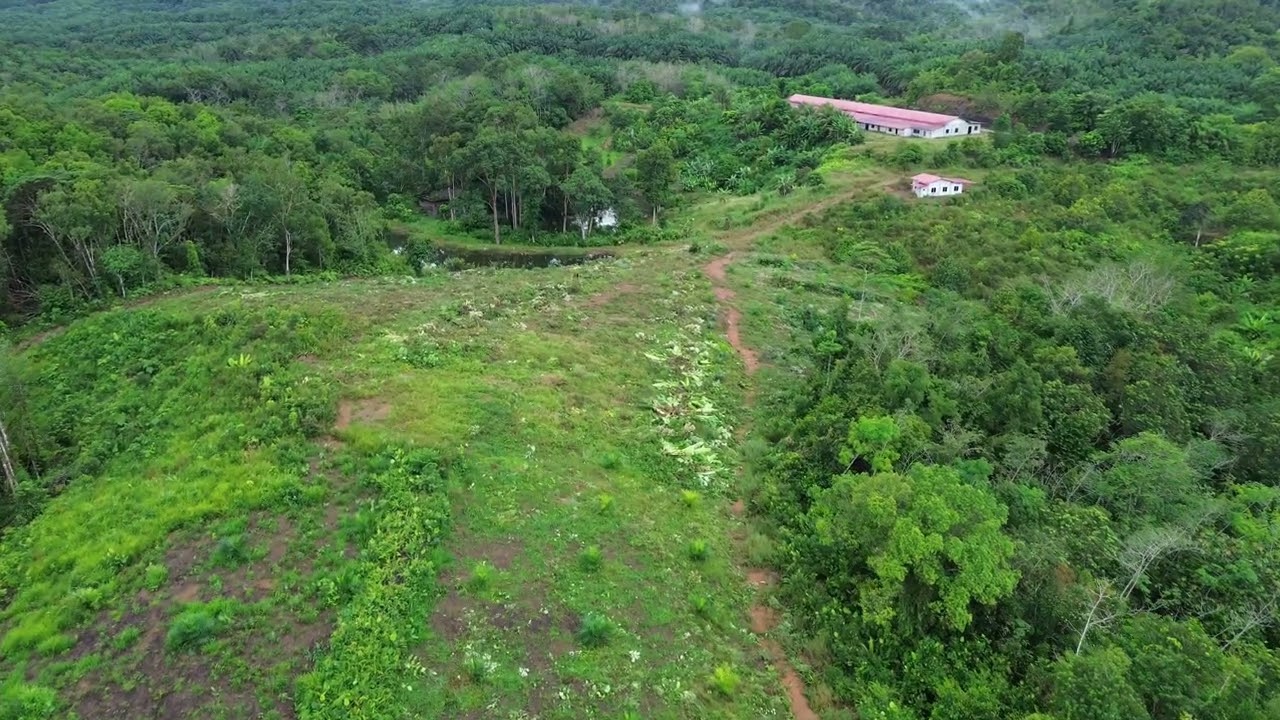 PART 2 RUMAH PANJANG KG JUMBIT ASAL MELUGU SWK 8 JAN 2026