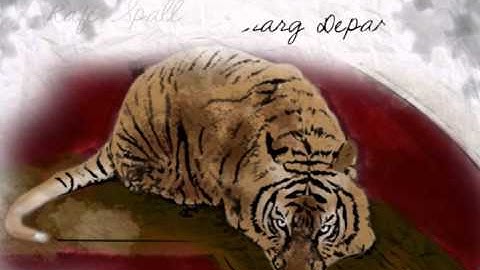 Life of Pi - Title Sequence