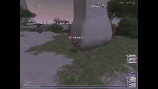 Kiting Despot as a Thief