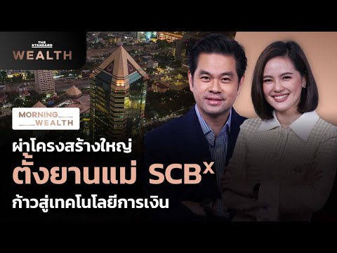 วีดีโอ: เมืองนิวซีแลนด์พิจารณาการห้ามแมวเพื่อปกป้องสัตว์ป่า