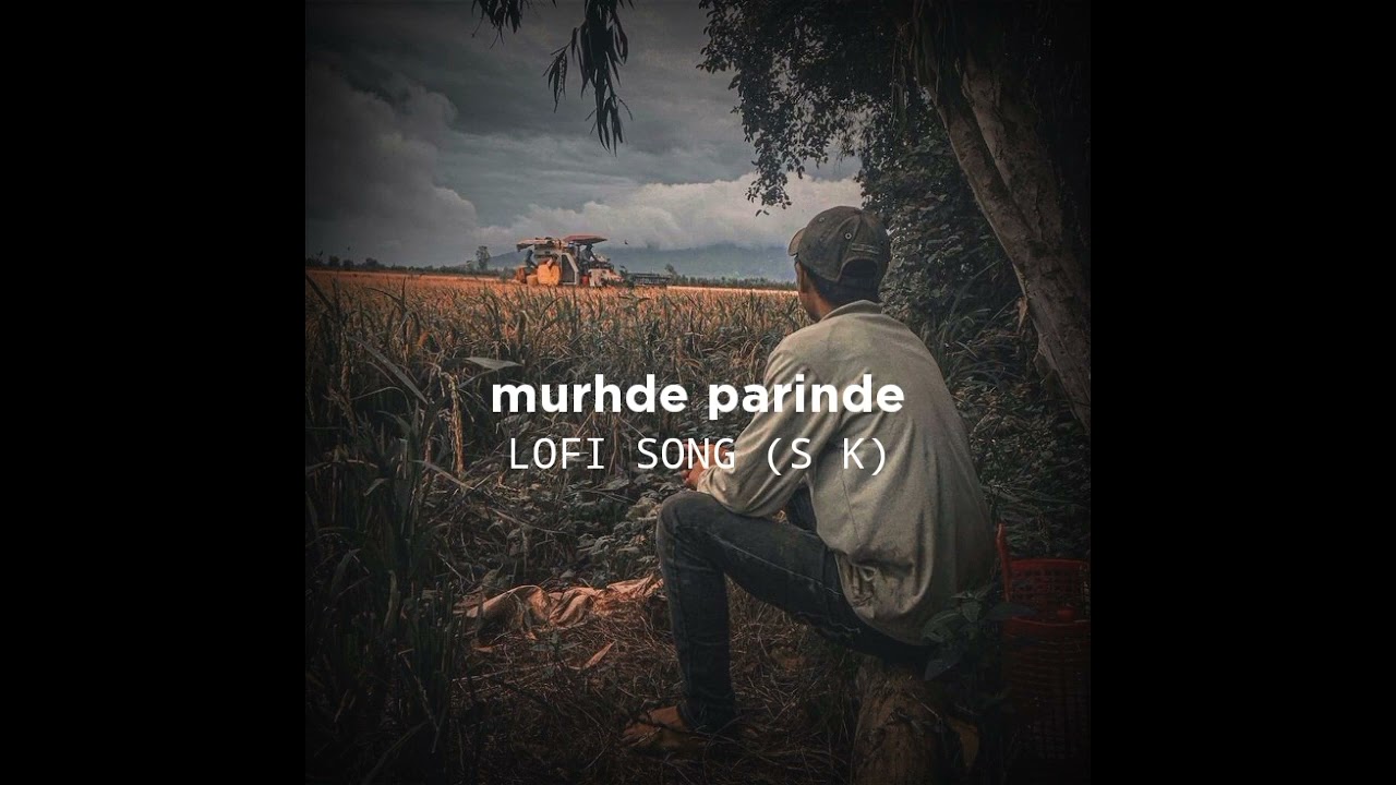 Murhde Parinde LOFI SONG S K  Sudesh Kumari Punjabi song