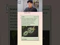 Metazooa (Day 44) Animal 989 #metazooa #animals #guessinggame #science #evolution #geoguessr