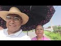 Google Adsense PIN फेरि आएन 😅 | Mitho Yatra With Saili, Nature & Ramro Gafgaf 🌿