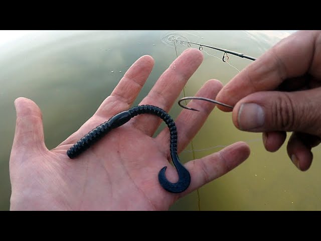 98.88% of Anglers DON'T Do This (Plastic Worm TIPS) 