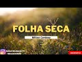 FOLHA SECA • PIANO • MILTON CARDOSO