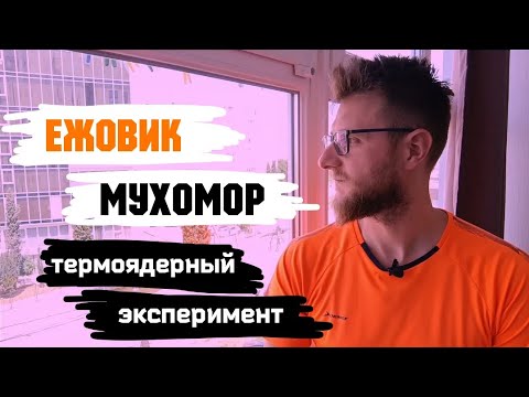 Ежовик и Мухомор / Термоядерный эксперимент