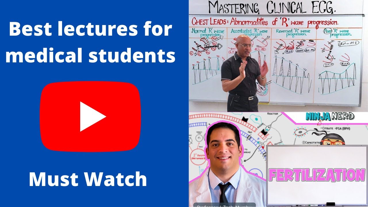 Best youtube channel for medical students | Dr Najeeb lectures | Ninja