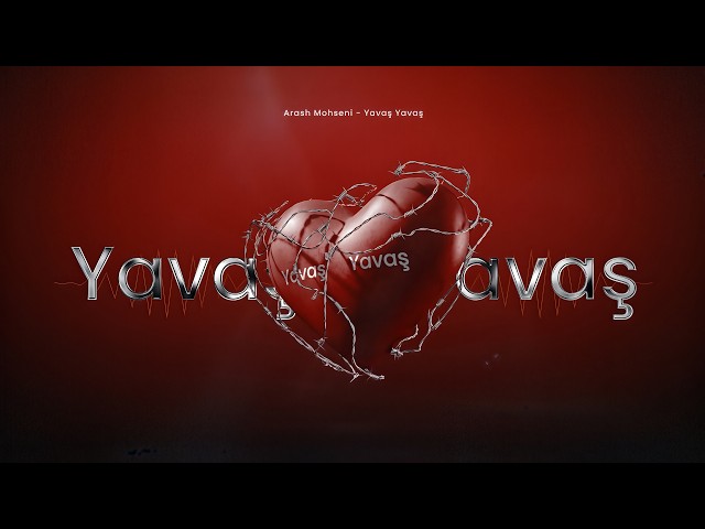 Arash Mohseni - Yavaş Yavaş | Official Lyric Visualizer