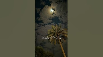 القارئ : ماهر المعيقلي ﴿ لَّا يَسْأَمُ الْإِنسَانُ مِن دُعَاءِ الْخَيْرِ وَإِن مَّسَّهُ ﴾[ فصلت: 49]