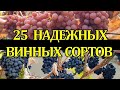 25 НАДЕЖНЫХ ВИННЫХ СОРТОВ ВИНОГРАДА, НЕ УКРЫВНЫЕ, УСТОЙЧИВЫЕ /WINE VARIETIES