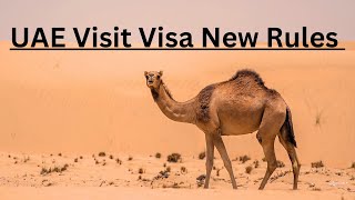 New Rules for Visit Visa Holders Coming to India | 2024 Updates