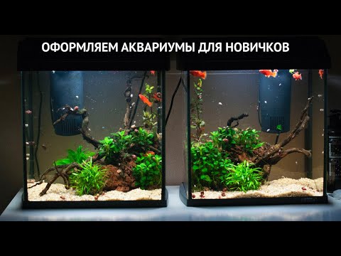 Video: Menga Akvarium Kerak. 1-qism