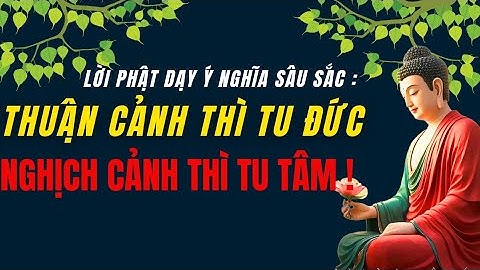 Lời phật dạy sâu sắc : Thuận Cảnh Thì Tu Đức - Nghịch Cảnh Thì Tu Tâm - Tu Tâm Tĩnh Lặng