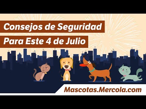 Video: Los Diez Mejores Consejos De Seguridad Para Mascotas Del 4 De Julio