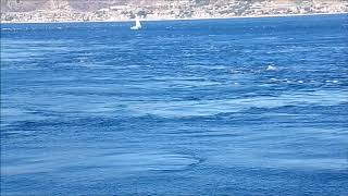 Amazing sea whirpools in the Strait of Messina screenshot 4