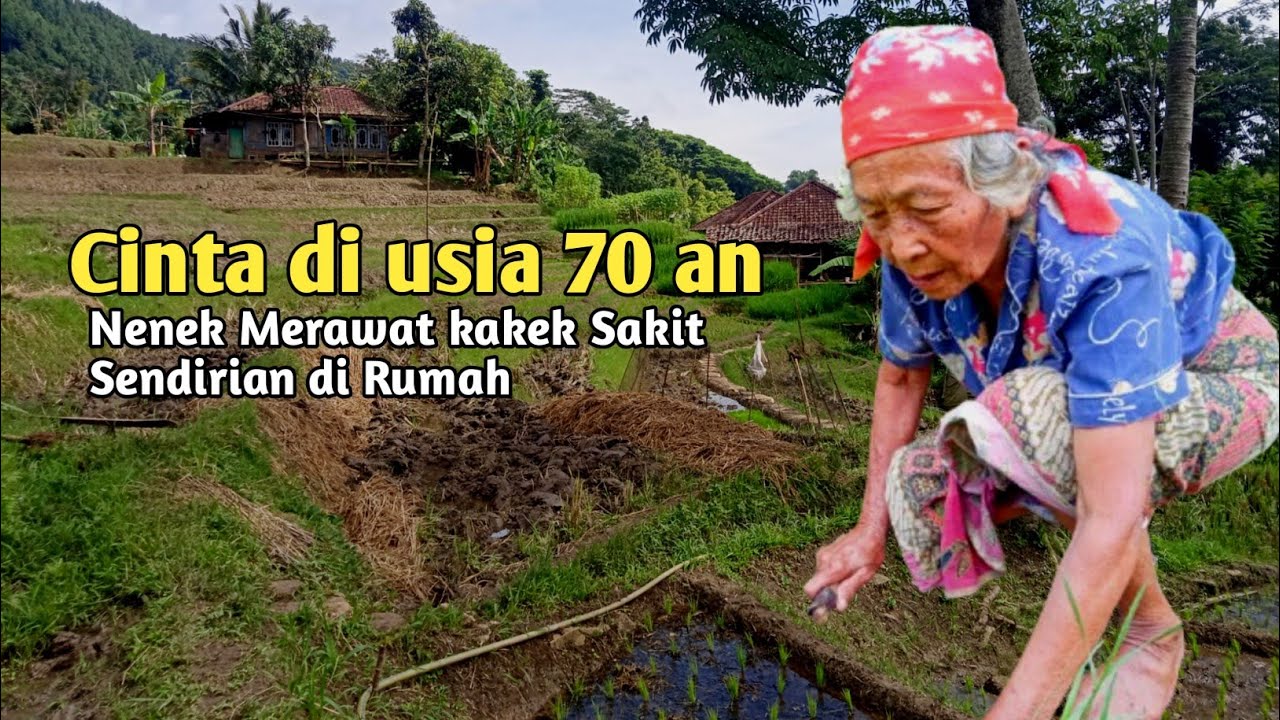 NENEK MERAWAT KAKE YANG SAKIT, CINTA ABADI DI USIA 70 AN TANPA BANTUAN ORANG LAIN