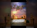 Naat Shareef 🏝️# Mr Pattlo 980# subscribe # islamic template # trending Crater video