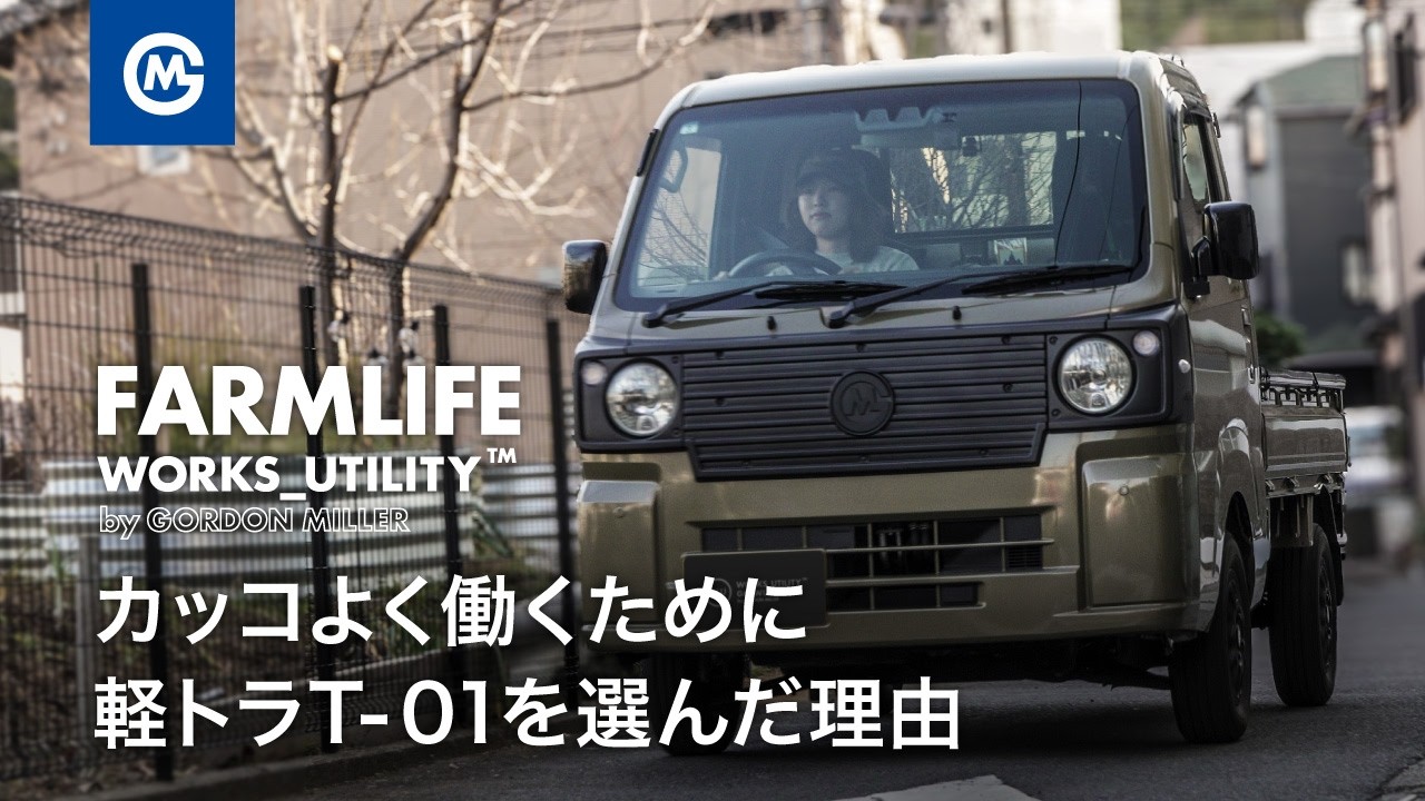 Why did you choose the T-01 light truck to work in style? We bring