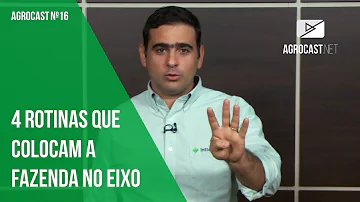 Como cuidar de uma fazenda de gado?