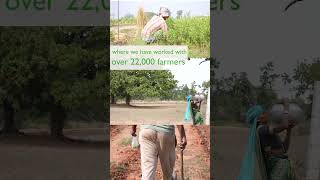 SGI's work in Uttar Pradesh, India