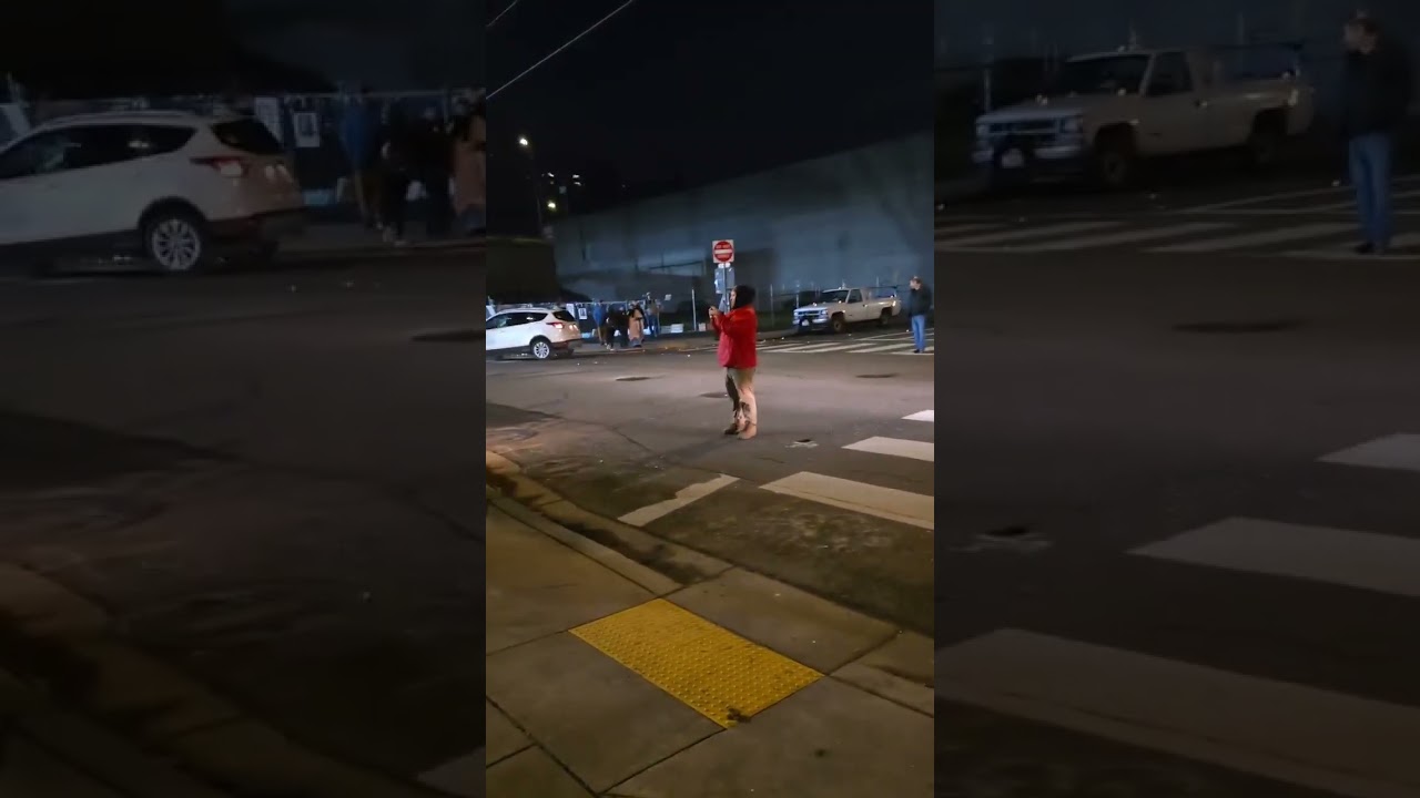 Portland Protest (1/11/26) (MannyBeinManny)