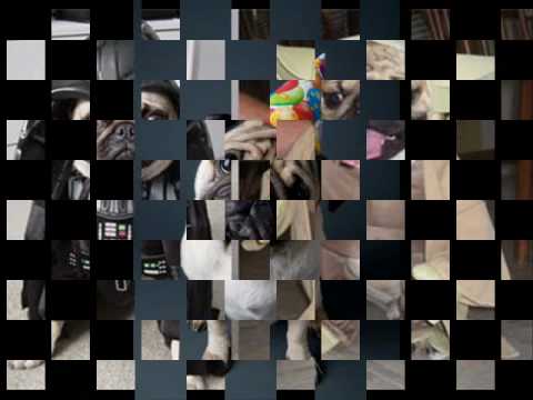 อย่าปล่อยให้เขาเห็นน้ำตา by poysasi.wmv
