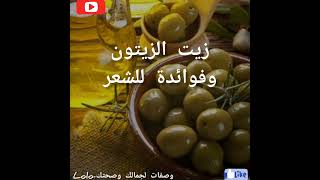 فوائد زيت الزيتون للشعر