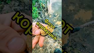 Флэт-кормушка, или методная кормушка. #рыбалка #fishing #природа #nature #охота #флэтфидер #кормушка