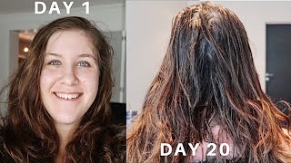 I didn't wash my hair for a month and it was HORRIBLE , the no poo method