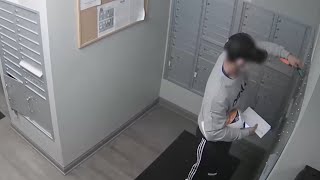 Arrest of the Month: Attempted Theft from Laundry and Mail Rooms