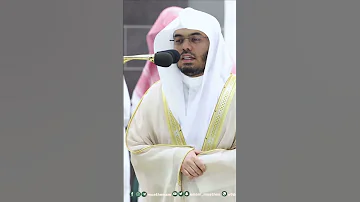 قال قد أوتيت سؤلك يا موسى تلاوة بتحبير آسر للشيخ ياسر الدوسري تراويح 1444هـ التلاوة كاملة بالوصف 